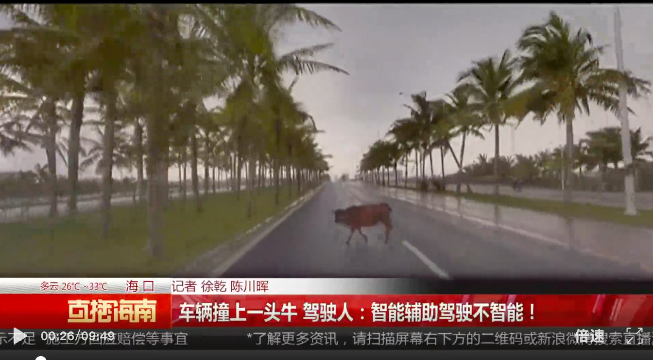 FireShot Capture 604 - 理想汽车撞上一头牛 驾驶人：智能辅助驾驶不智能！ - [mp.weixin.qq.com].jpg