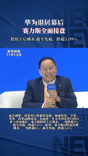 赛力斯股价跳水